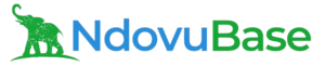 Ndovubase Solutions